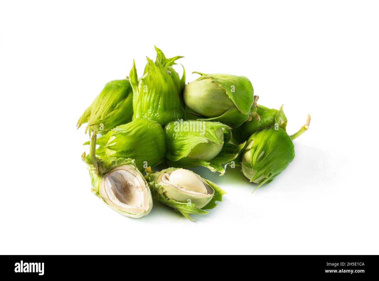 Green hazelnut nuts isolated hi-res stock photography and images - Alamy