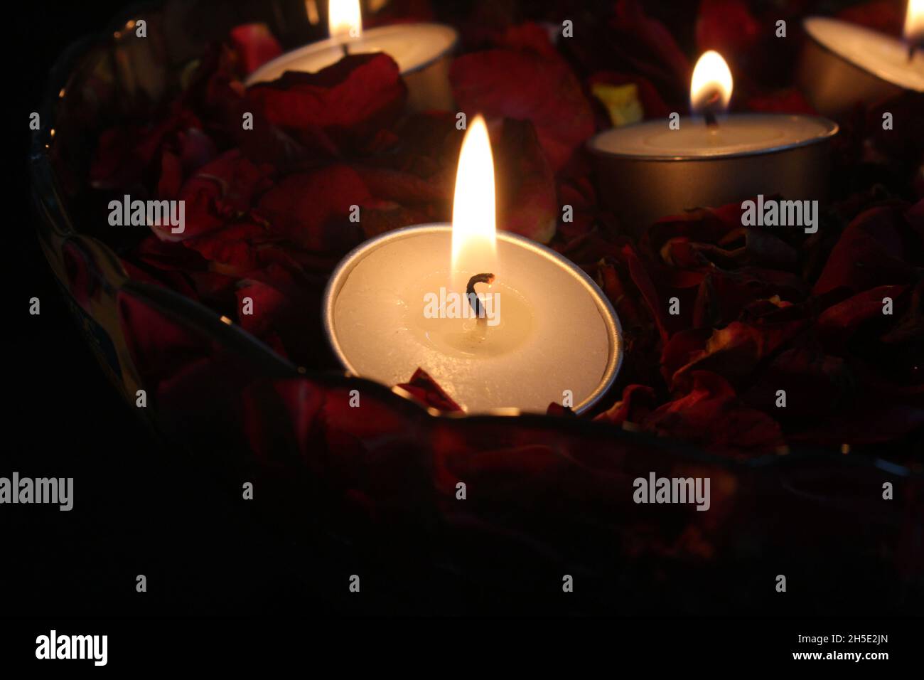 Rose petals in a bowl hi-res stock photography and images - Alamy