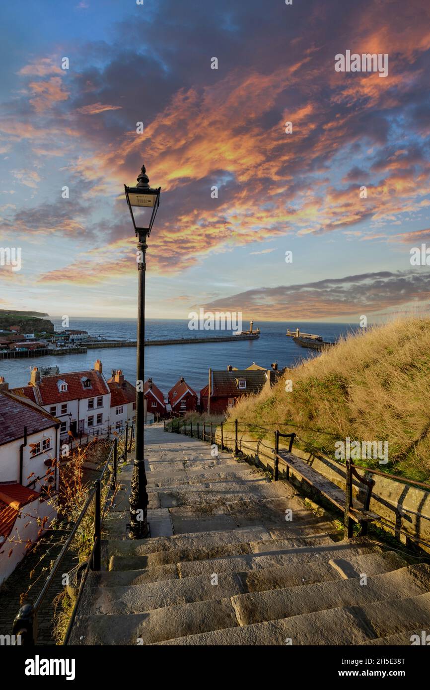 Be 199 Steps on with bees Whitby West shoreline overlooking the ...