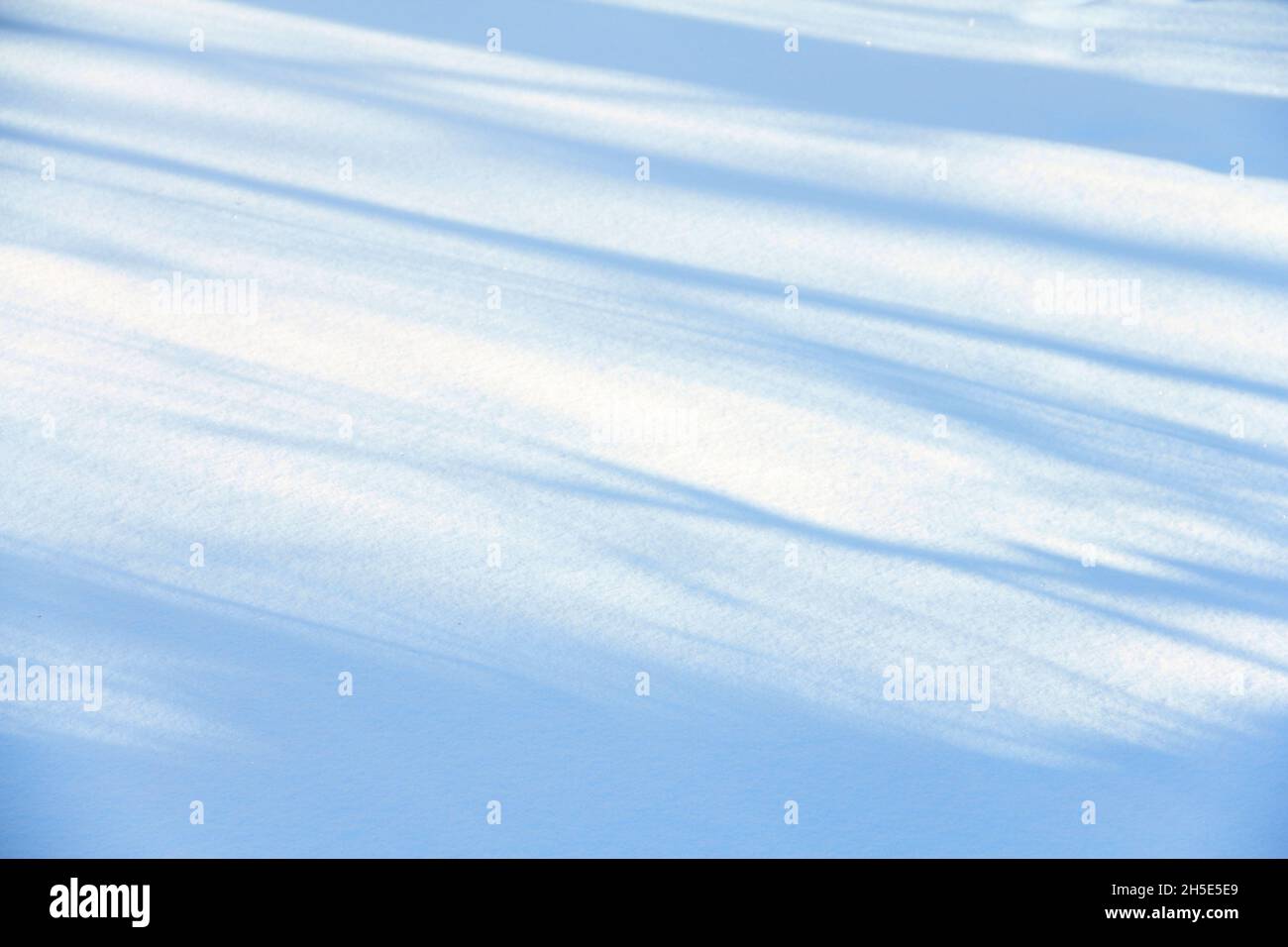 Snow texture background with day blue shadows horizontal Stock Photo ...