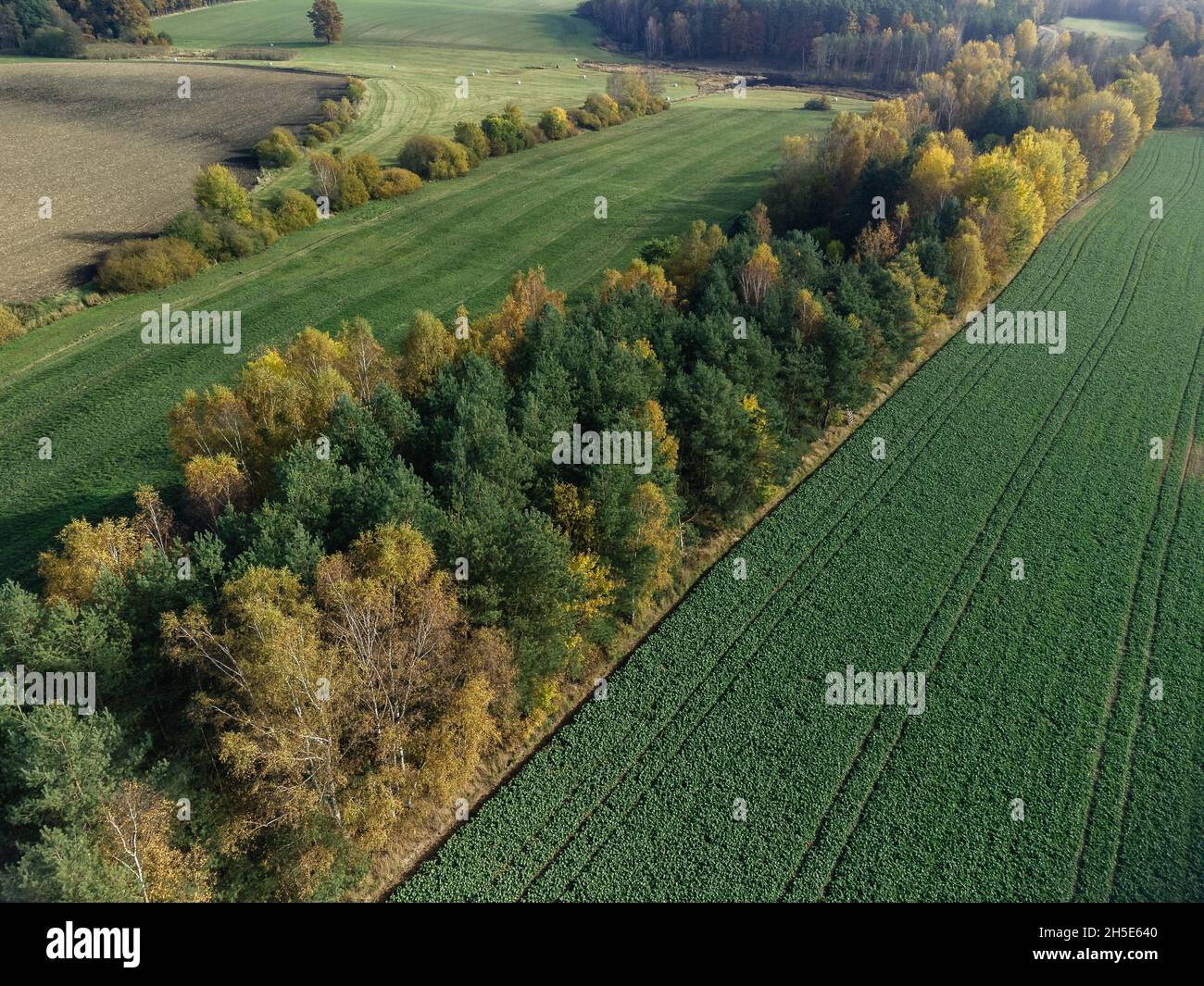 Aerial view of the vast agricultural field in Coburg Bavaria, Germany ...