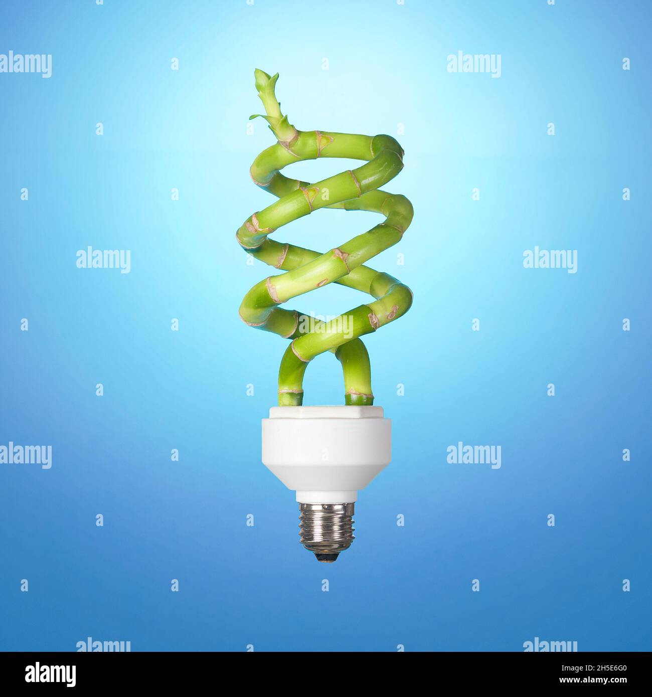 This photograph shows the concept of green energy. Stock Photo