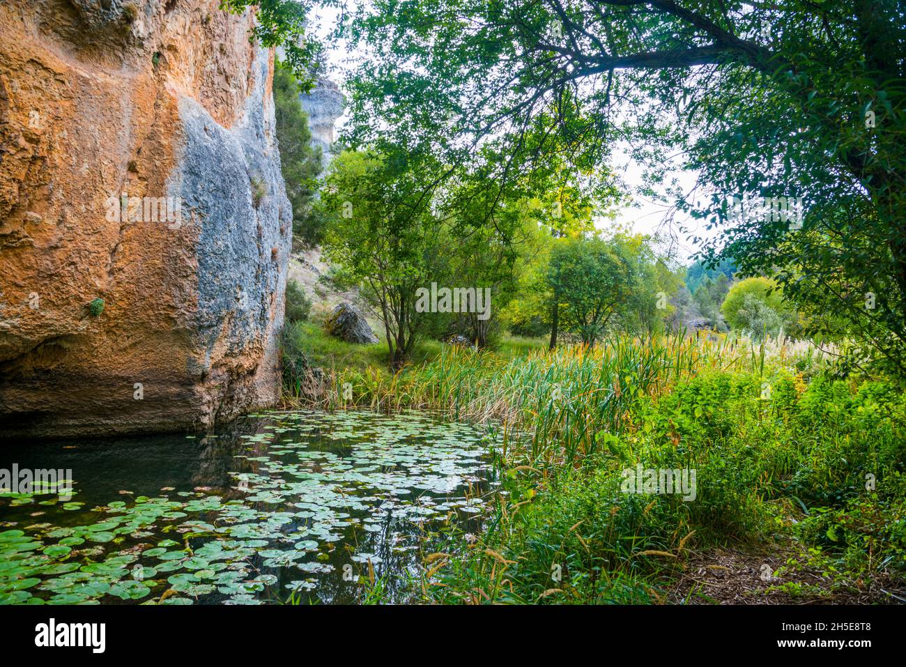 River Lobos. Cañon del rio Lobos Nature Reserve, Soria province, Castilla Leon, Spain. Stock Photo
