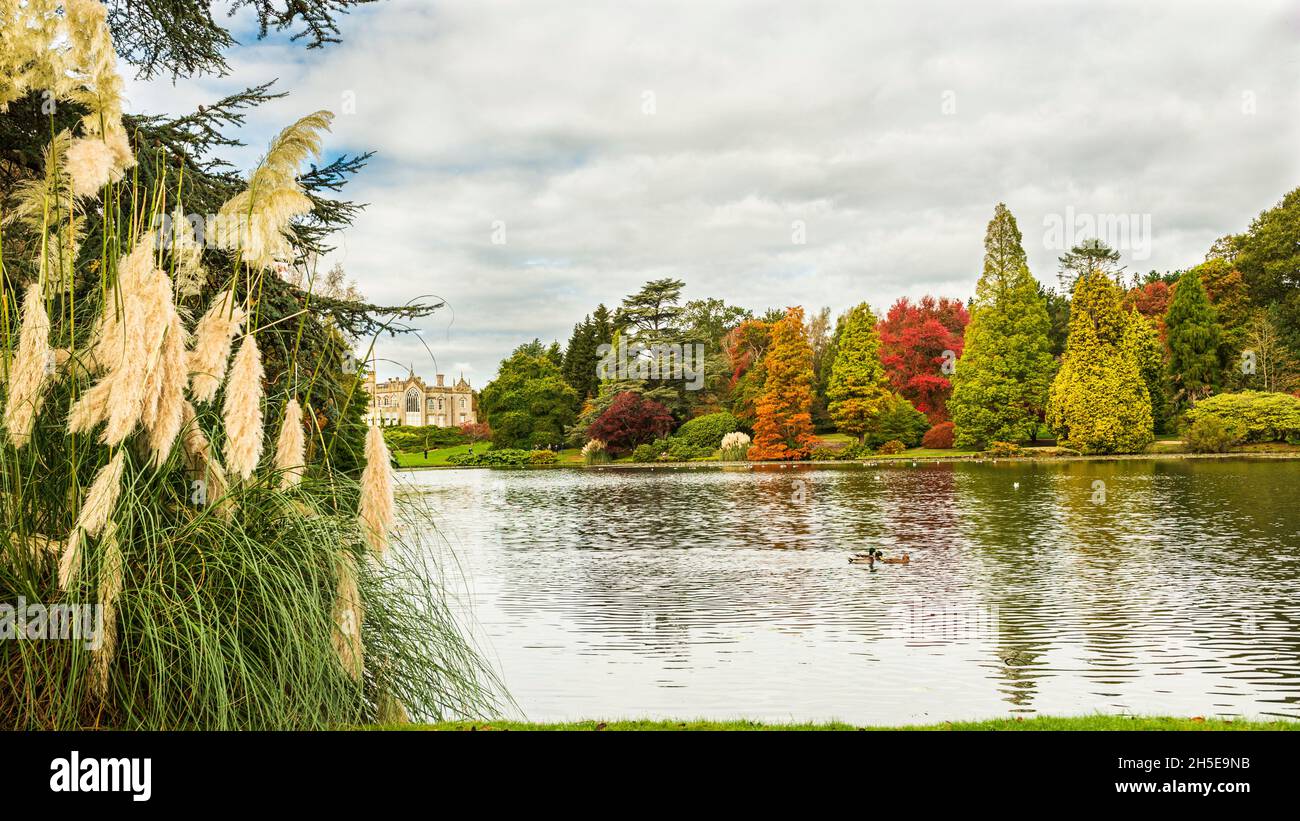 Autumn in Sheffield Park and Garden in East Sussex, UK. Stock Photo