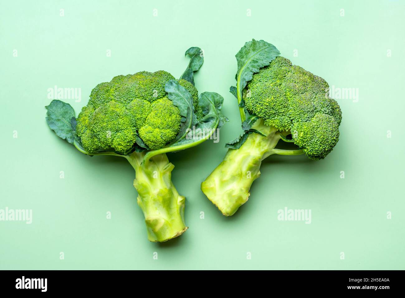 Fresh Harvested cabbage broccoli on trend green background. Vegetables vitamin C Natural Organic broccoli lies on green table Top View Flat Lay. Stock Photo
