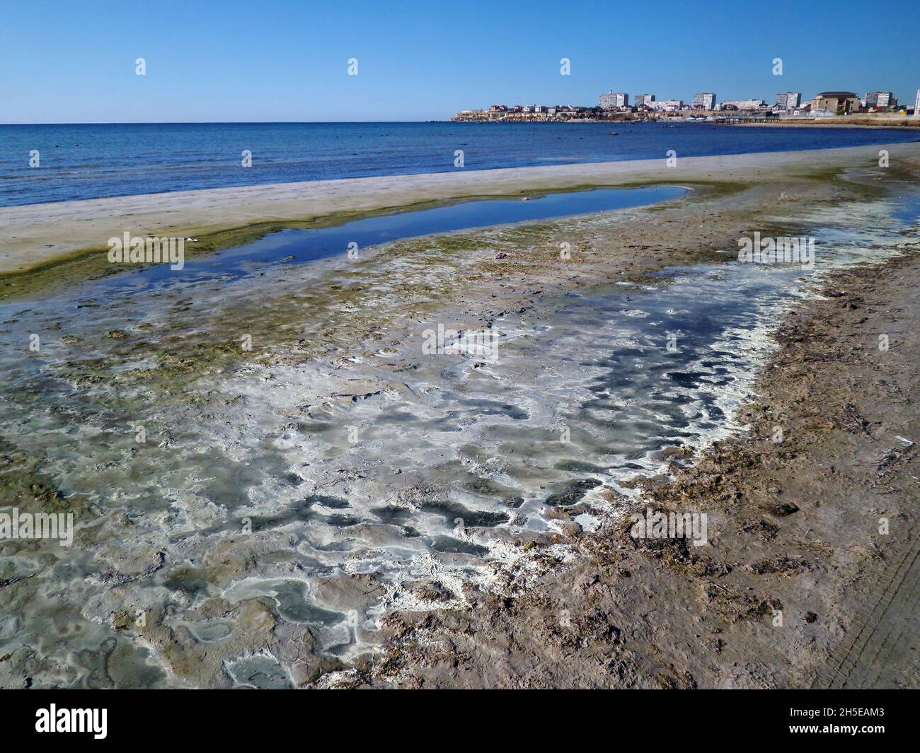 Swampy shore of the Caspian Sea. Dirty stinking sea shore. Kazakhstan. Mangistau region. Aktau city. 18 November 2019 year. Stock Photo