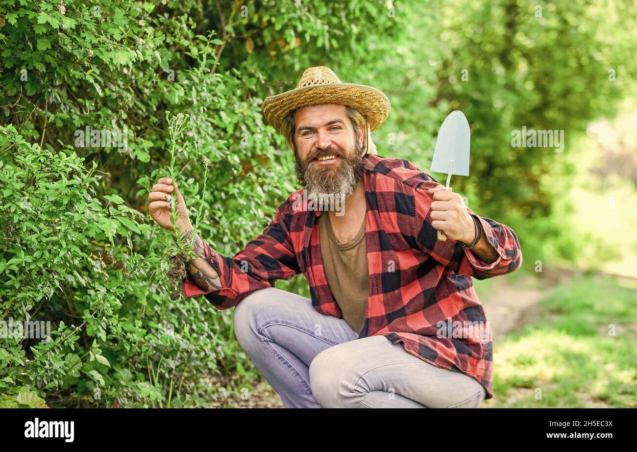 mature man gardener. Trowel digging soil. Garden tools. seeds and soil. Spring in the garden. Farmer giving fertilizer. The gardener digging in garden Stock Photo