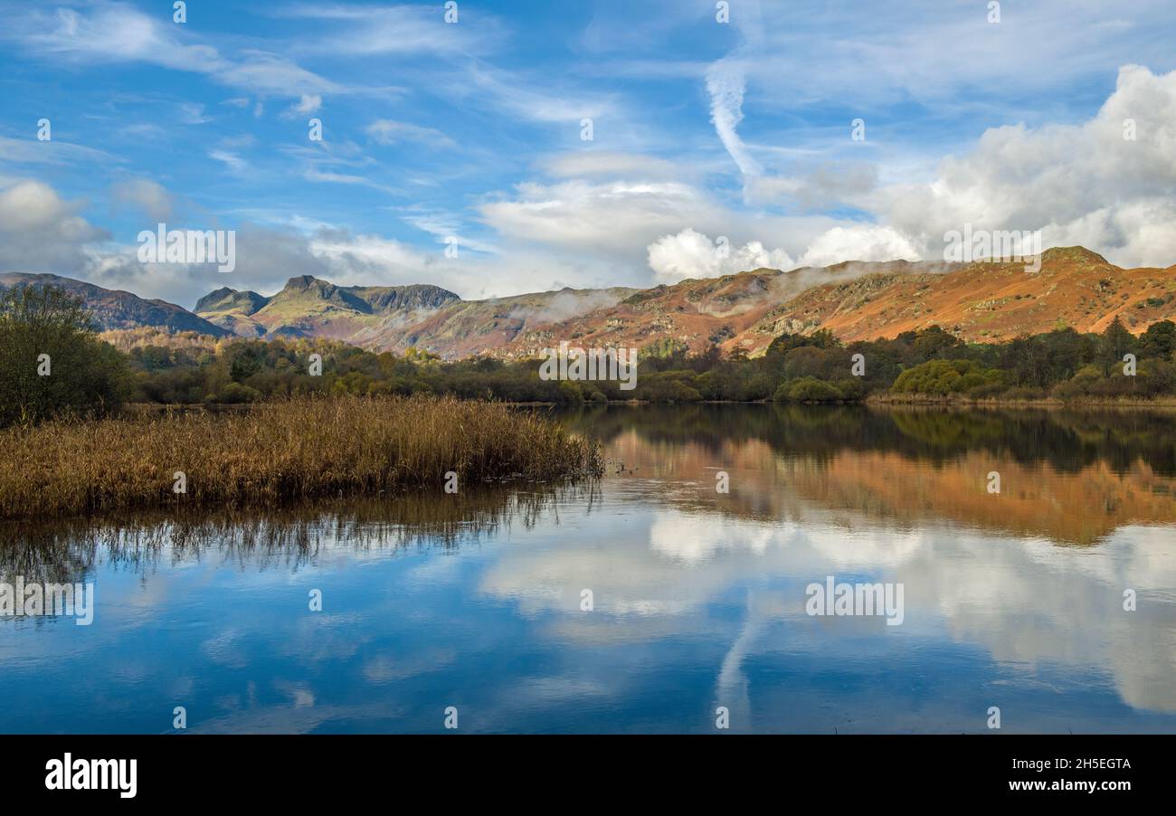 A view across Elterwater of the Langdale Pikes in the Great Langdale Valley, Lake District National Park Stock Photo