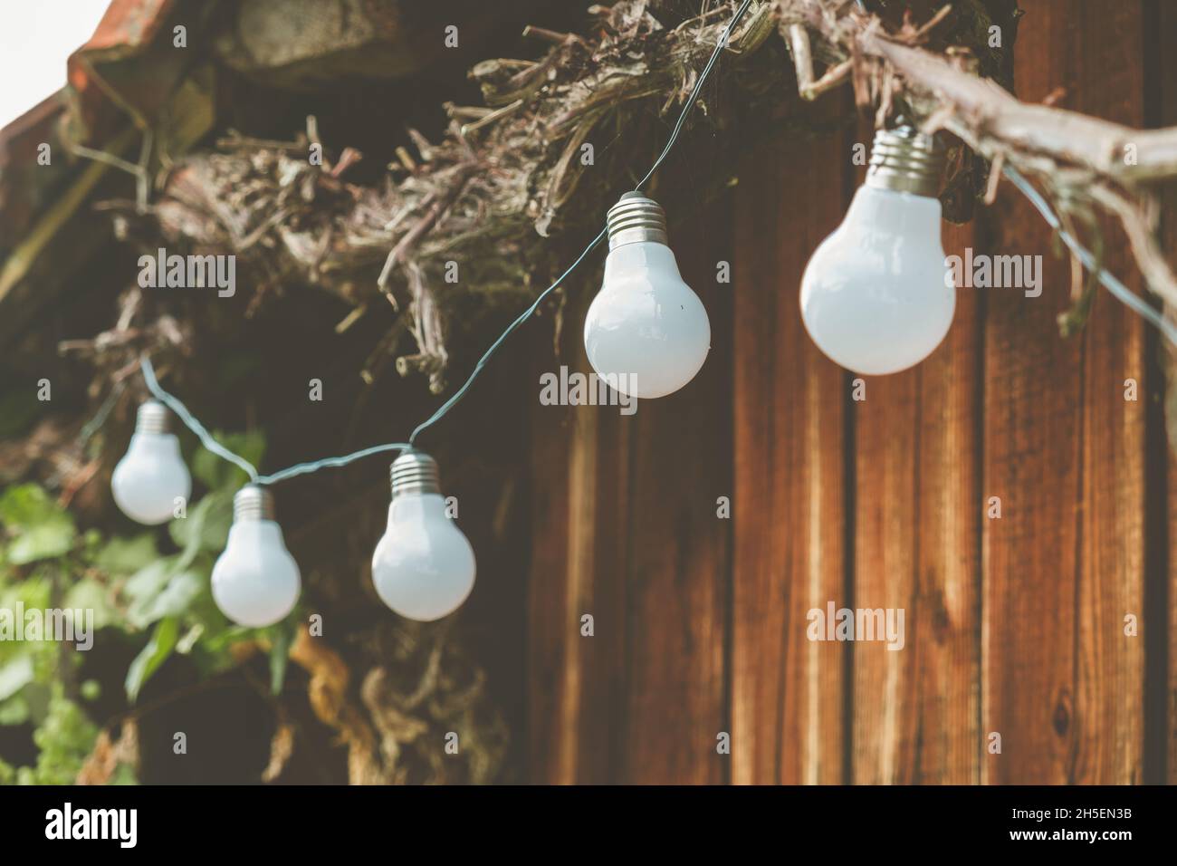 Retro look led light bulbs on a wooden background. Clean energy concept Stock Photo
