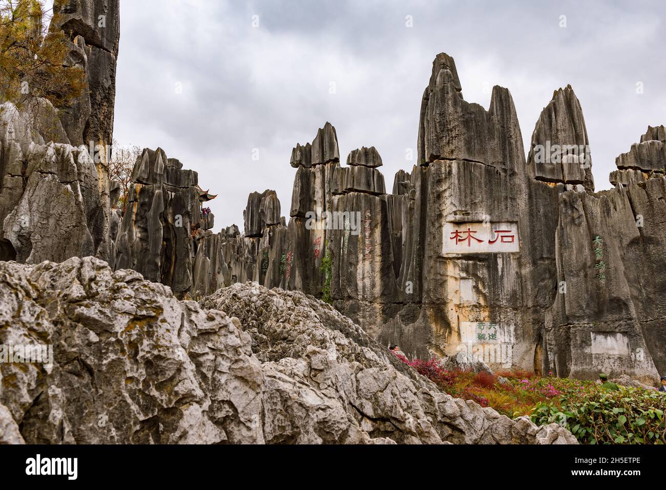 Yunnan, China - 27 March 2016: Shilin stone forest, a karst formation that happened millions of years ago. One of the most popular attractions in Yunn Stock Photo