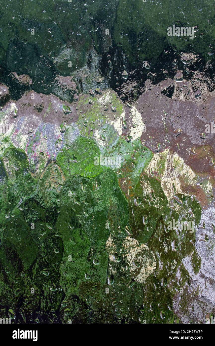 Nature viewed through frosted glass on a rainy and windy day. Image created during a power cut on the eve of the United Nations Climate Change Confere Stock Photo