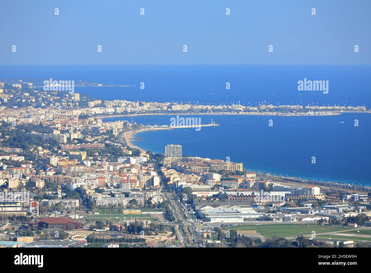 Aerial view of Cannes with mimosa tree, AlpesMaritimes, 06, French