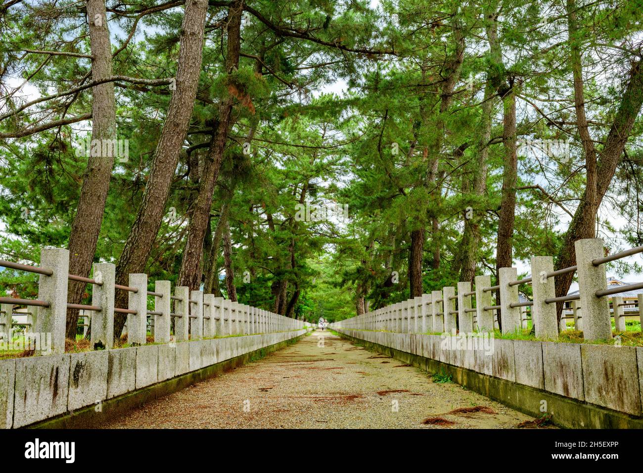 Pilgrimage road leading to World Heritage Site Horyuji Temple, Nara, Japan Stock Photo