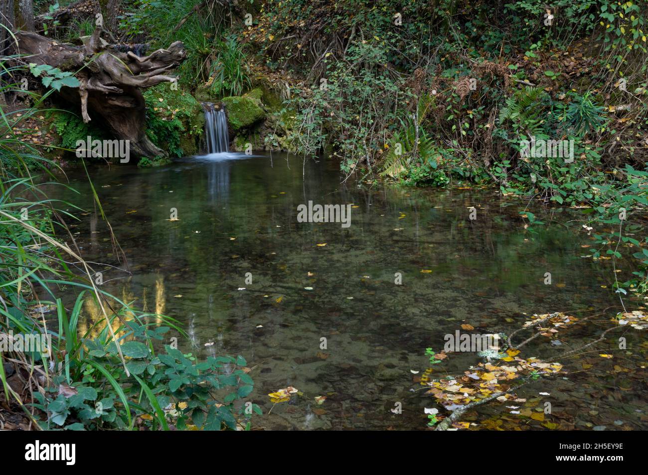 Mountain stream beauty hi-res stock photography and images - Alamy