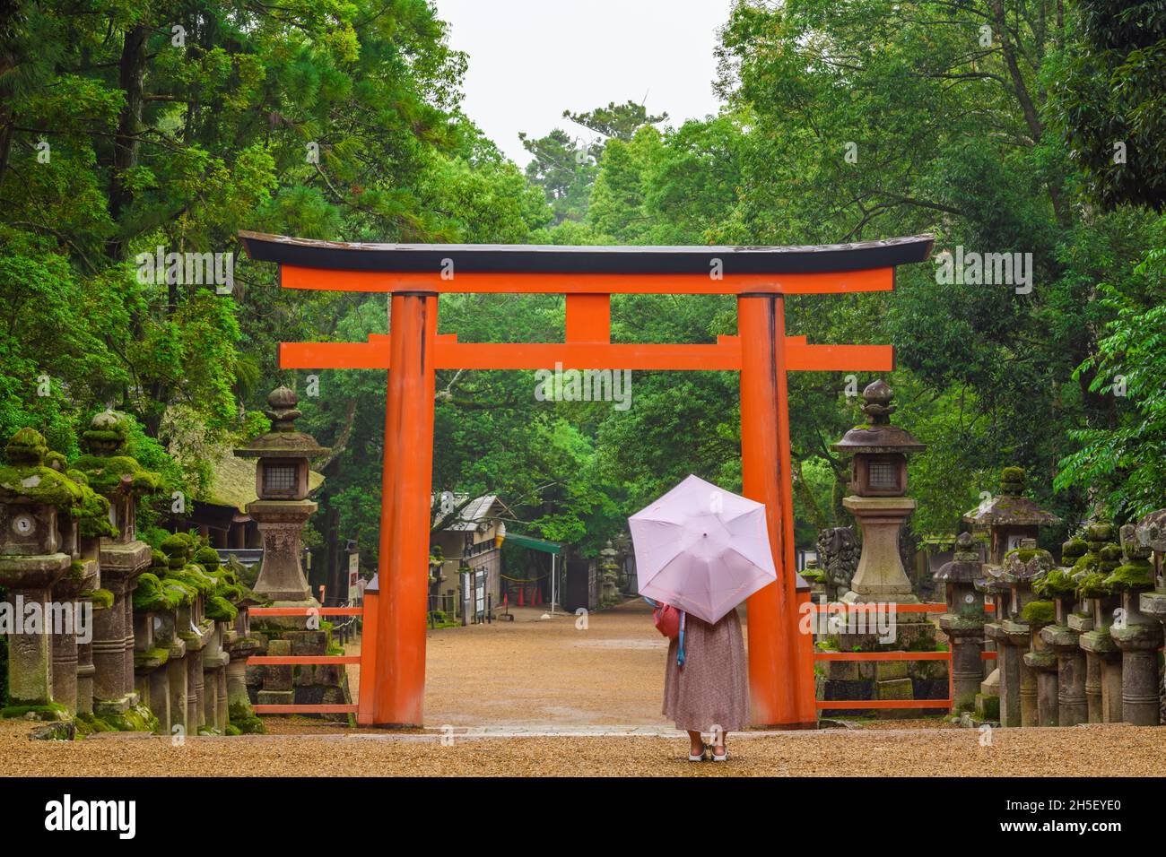 Nara, Japan - 03 July 2019: Tourist standing at red torii gate along road to Kasuga Taisha Shrine. Stock Photo