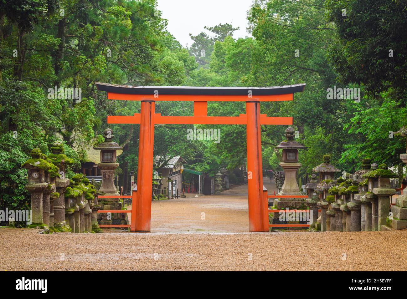 Nara, Japan - 03 July 2019: Red torii gate along pilgrimage road leading to Kasuga Taisha Shrine. Stock Photo