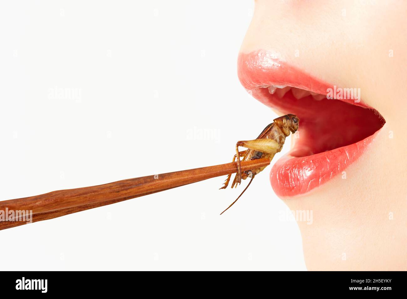 Woman Eating Insect Woman eating insects hi-res stock photography and images - Alamy