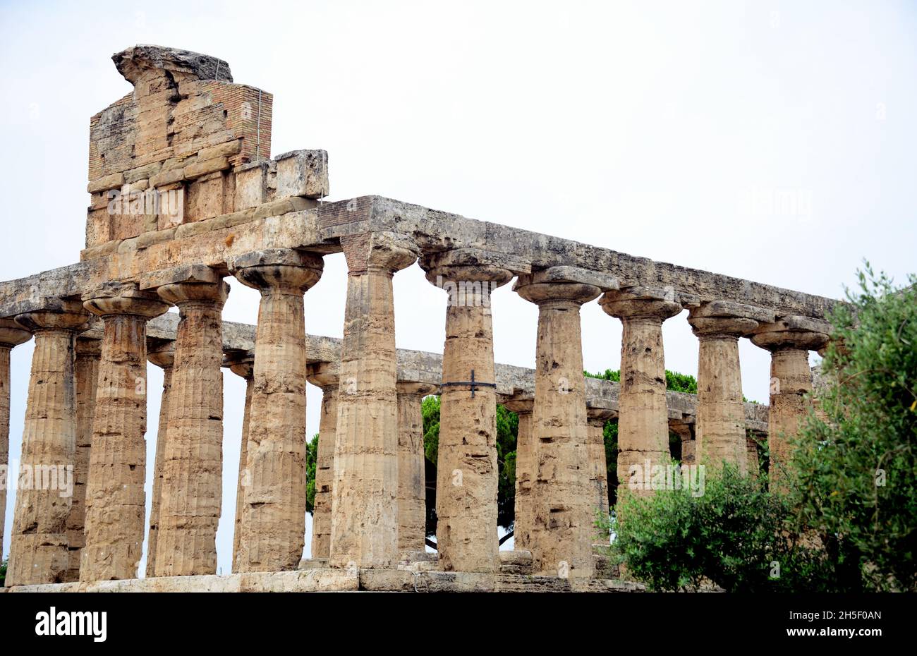 Temple of Athena-Paestum, an ancient city of Magna Graecia called by the Greeks Poseidonia in honor of Poseidon, but very devoted to Athena and Hera. Stock Photo