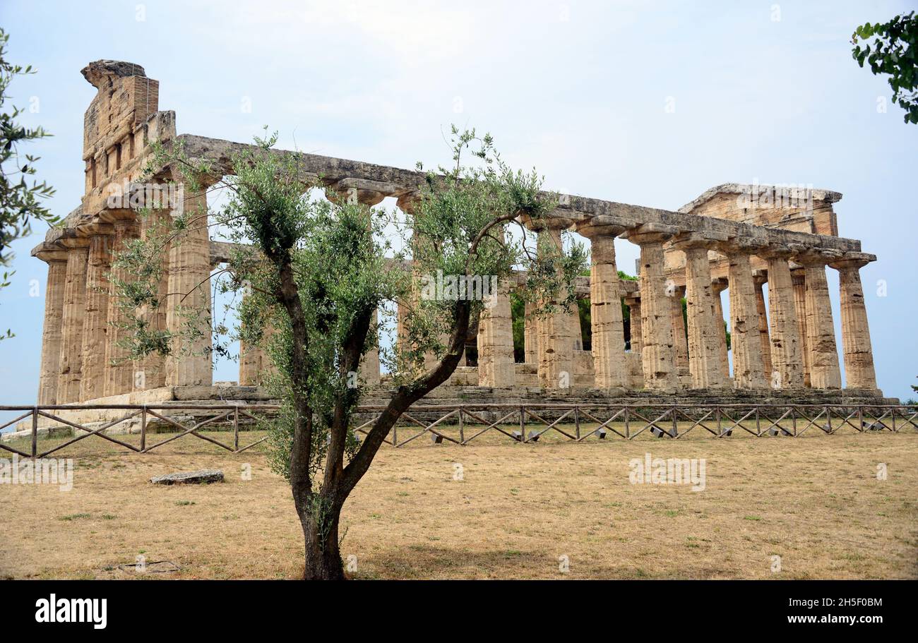 Temple of Athena-Paestum, an ancient city of Magna Graecia called by the Greeks Poseidonia in honor of Poseidon, but very devoted to Athena and Hera. Stock Photo