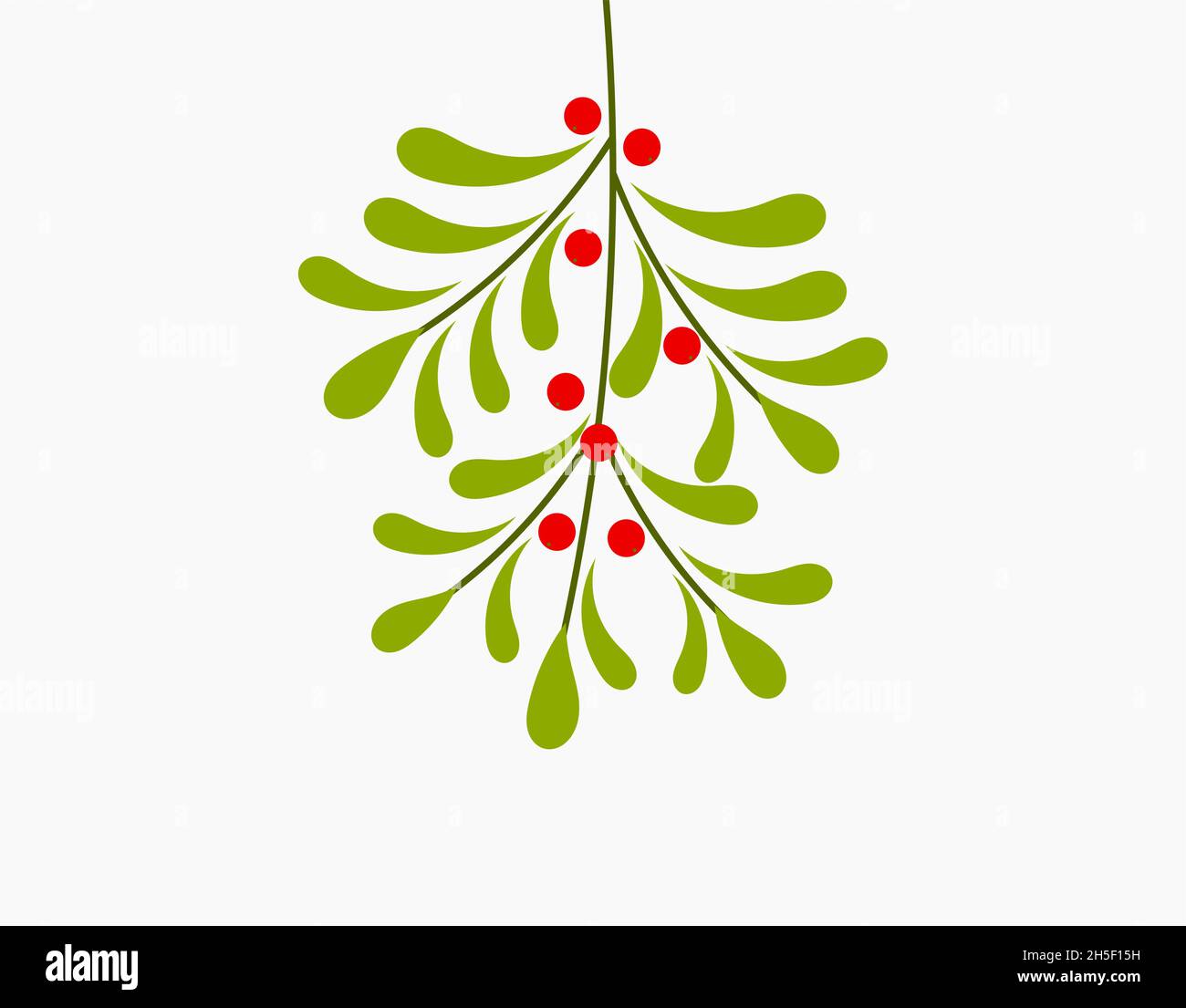 Mistletoe plant hanging. Christmas vector illustration Stock Vector Image &  Art - Alamy