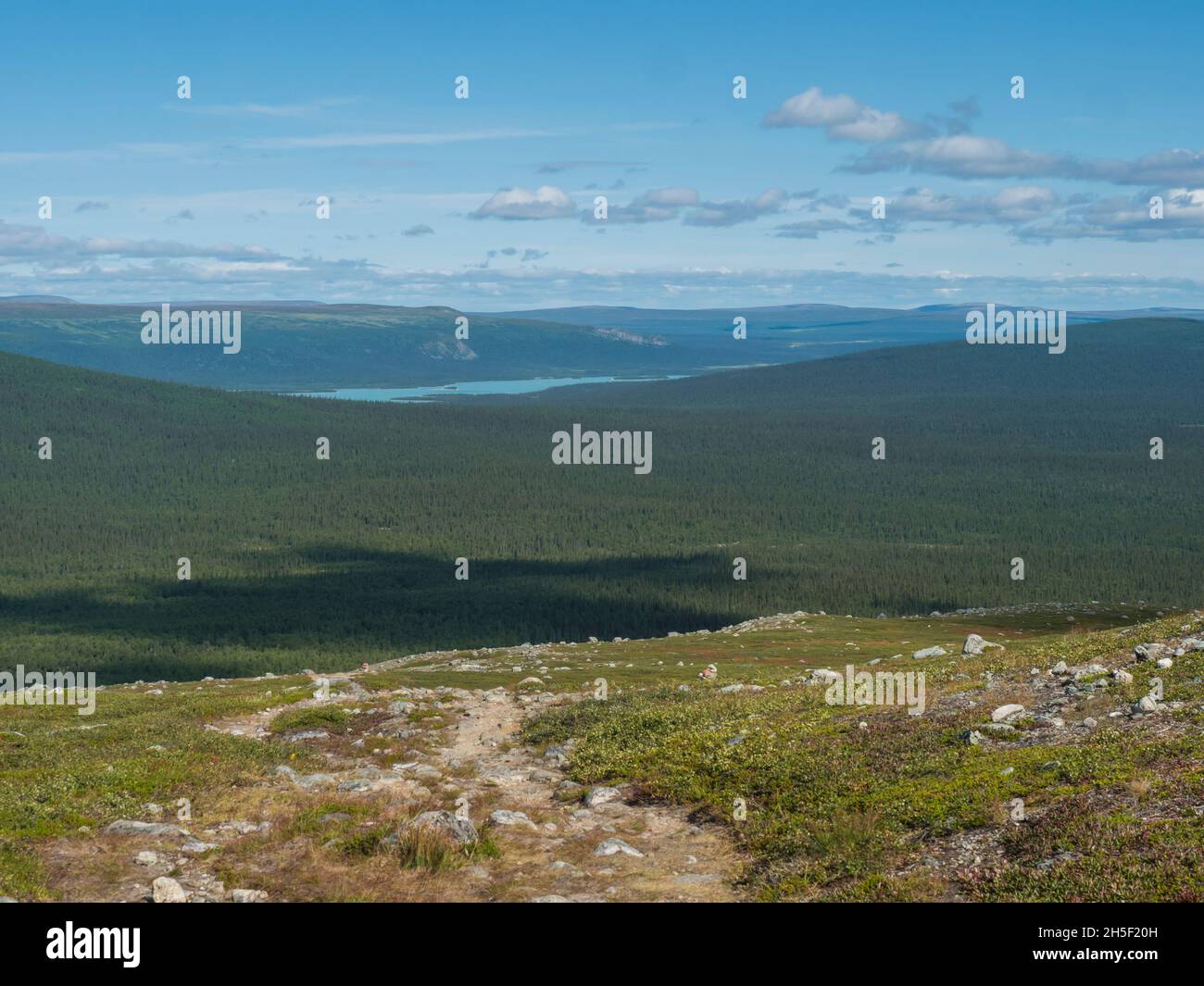 View on forest and milky green Laitaure, Lajtavrre lake from Kungsleden hiking trail in Sarek national park, Sweden Lapland. Wild landscape with Stock Photo