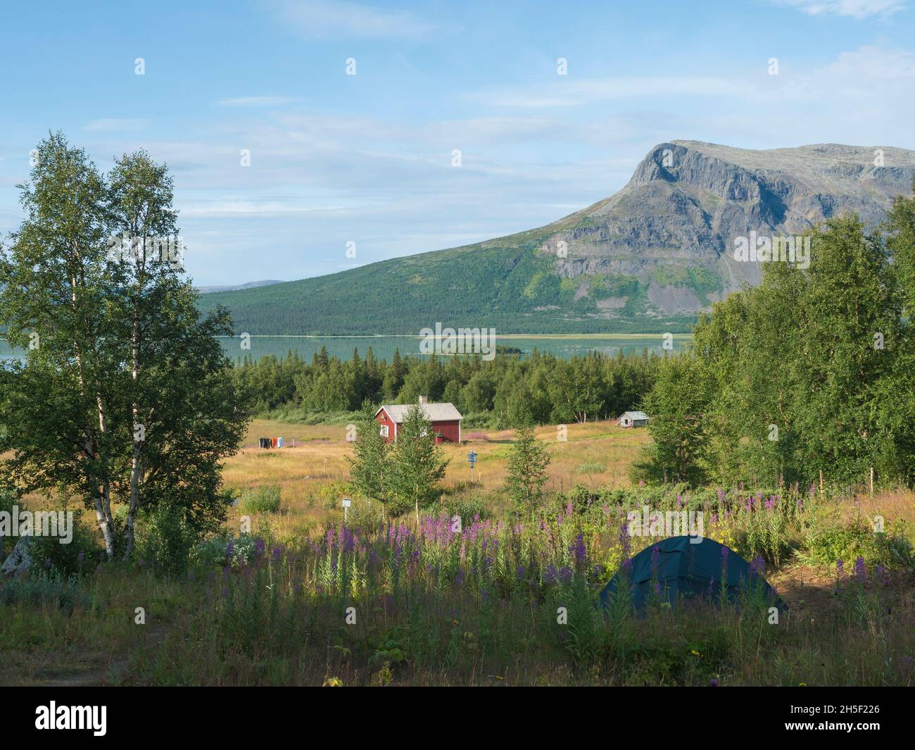 Camping site of Aktse Fjallstuga STF mountain cabin with small tent, hut, pink willowherb fowers, Laitaure lake, green hills and spruce birch trees Stock Photo