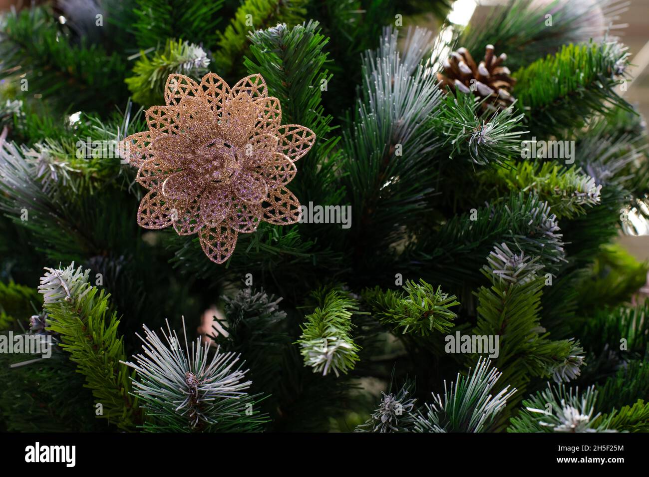 Christmas tree branch with golden flower and cones, horizontal ...
