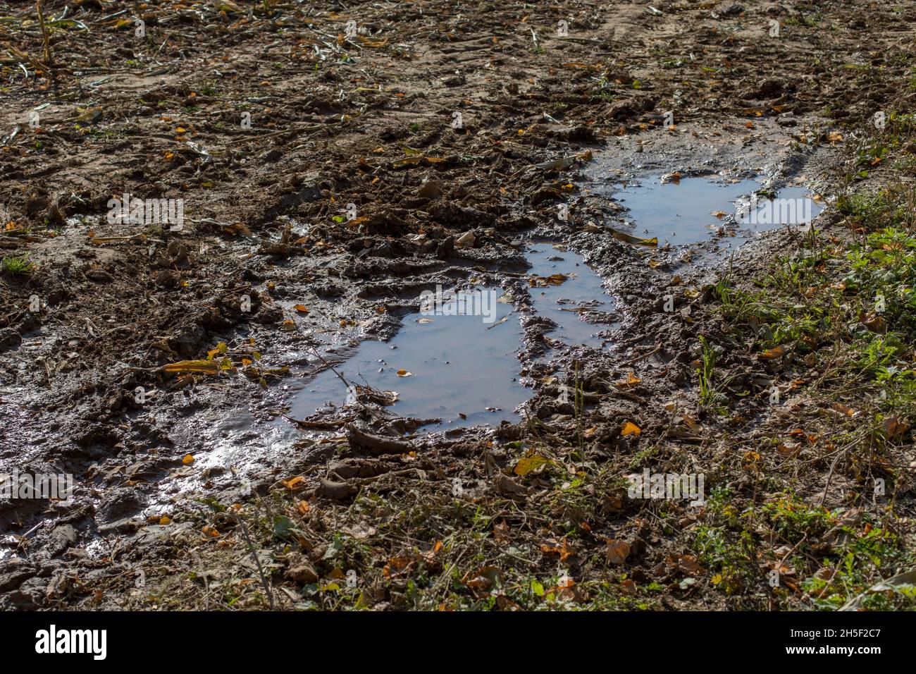 Earth after rain and puddle, natural rural background autumn rainy ...