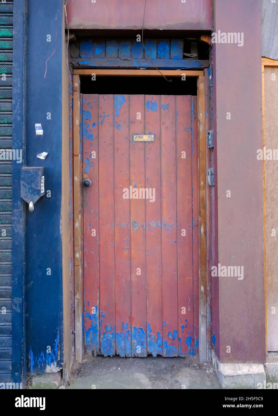 A decaying painted wooden door in an industrial setting in Sheffield, the Beware of the Dog sign now seeming redundant. Stock Photo