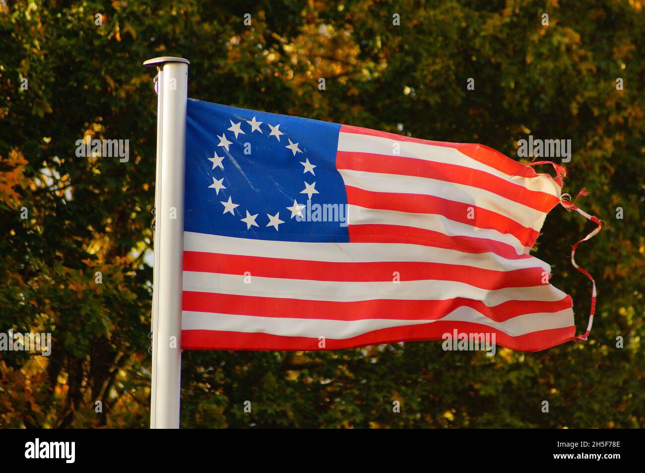 The Betsy Ross flag flies in an allotment garden. Stock Photo