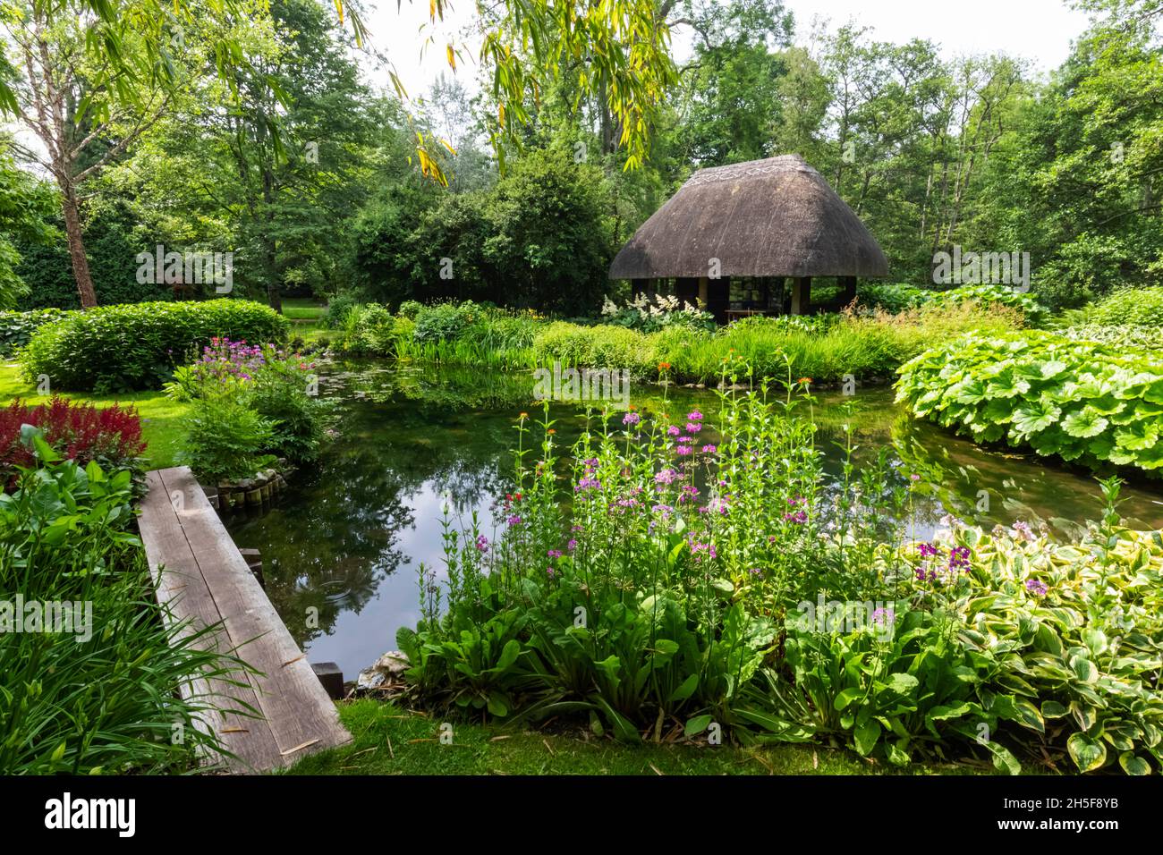 England, Hampshire, Test Valley, Stockbridge, Longstock, Leckford Estate,  Longstock Park Water Gardens Stock Photo - Alamy