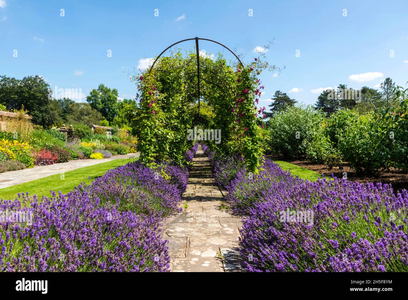 England, Hampshire, Test Valley, Stockbridge, Longstock, Leckford