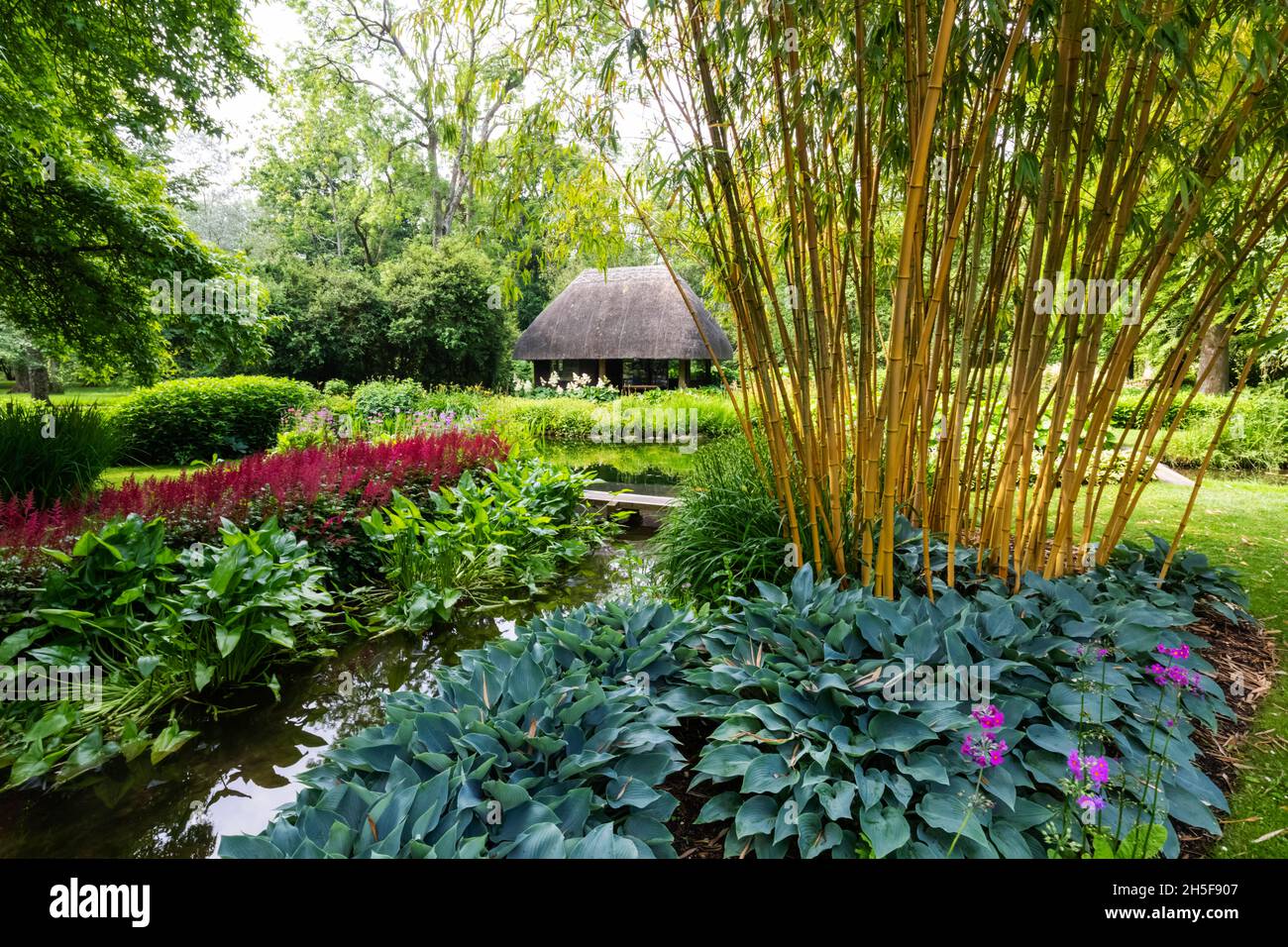 England, Hampshire, Test Valley, Stockbridge, Longstock, Leckford