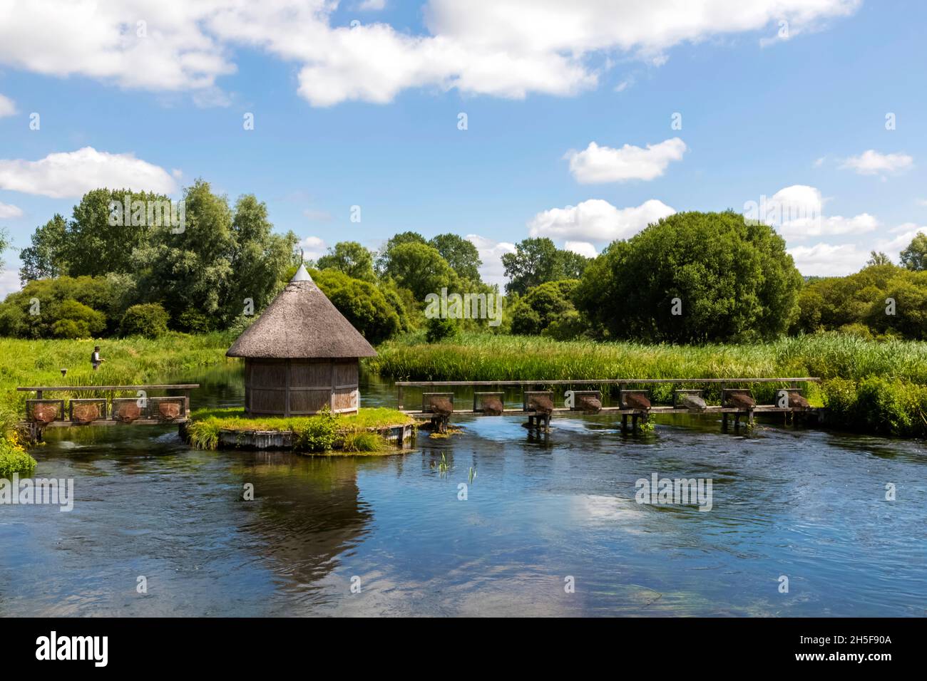 England, Hampshire, Test Valley, Stockbridge, Longstock, Leckford