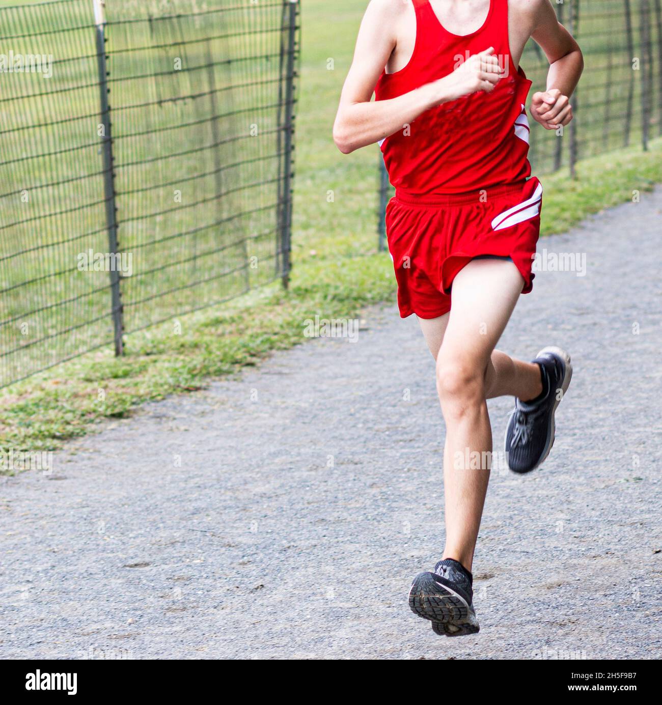 A high school cross country runner is finishing a race at Van Cortlandt park in the bronx on a gravel path next to a fence. Stock Photo