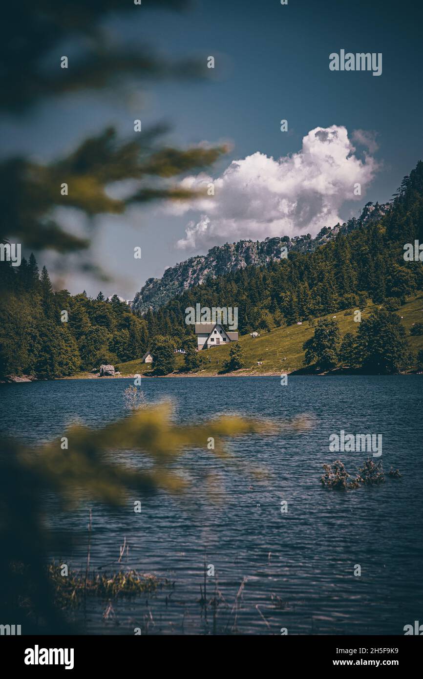 Vertical shot of a lake surrounded by forests under the sunlight in the ...