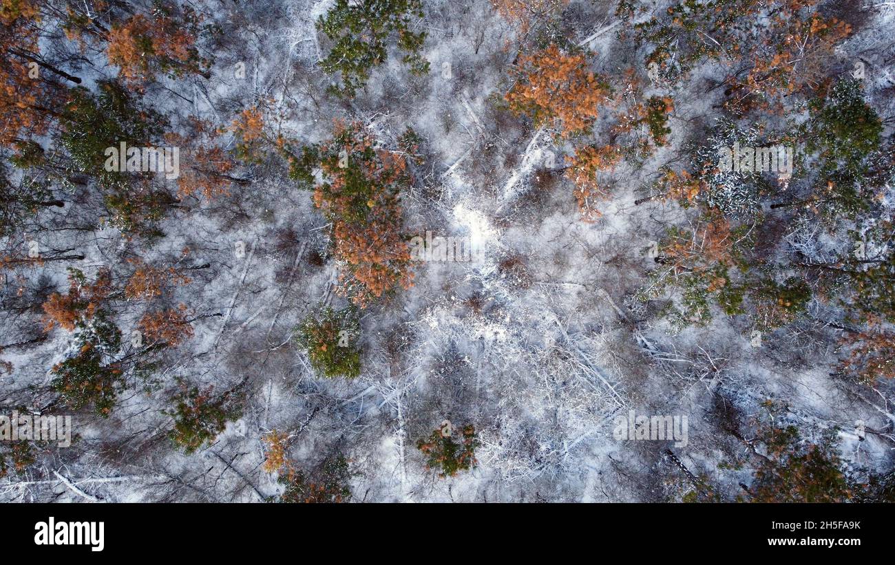 Winter landscape from high above. Drone view photography. Stock Photo