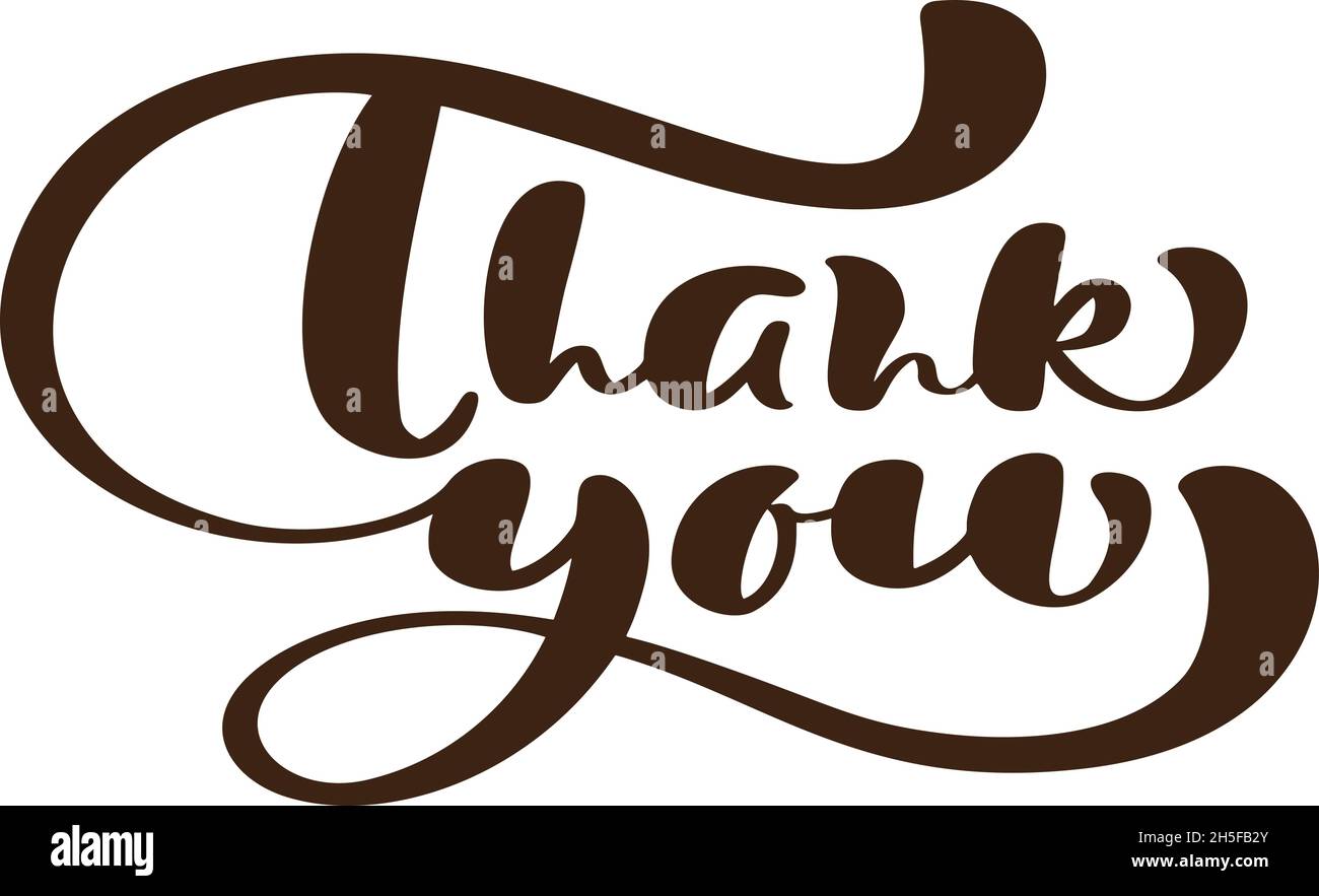 Hand drawn vector calligraphic vintage text Thank you on white ...