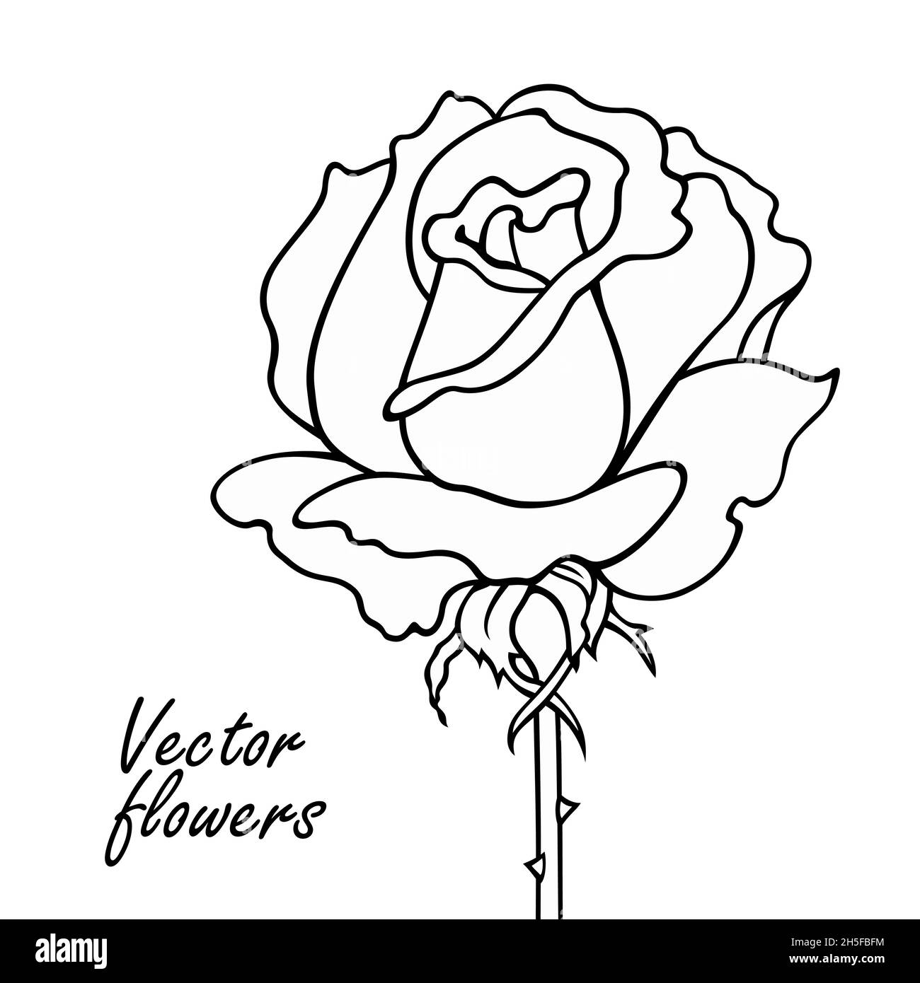 Rose line art vector hand drawn illustration. Minimalistic sketchy