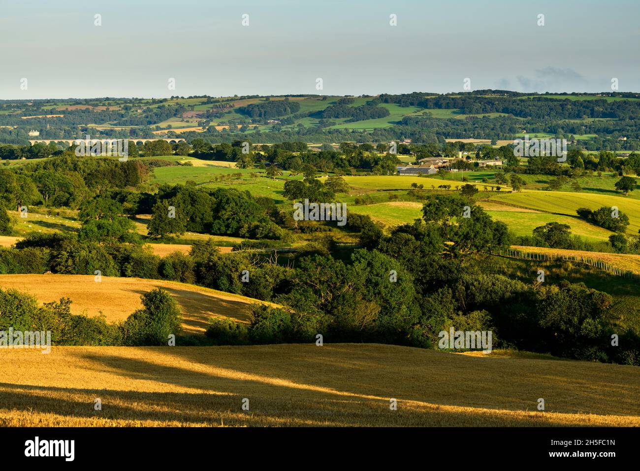 Sunlit Wharfedale countryside (wide green valley, hillside slope, arable farm crop, golden wheat fields, railway bridge) - North Yorkshire England UK. Stock Photo