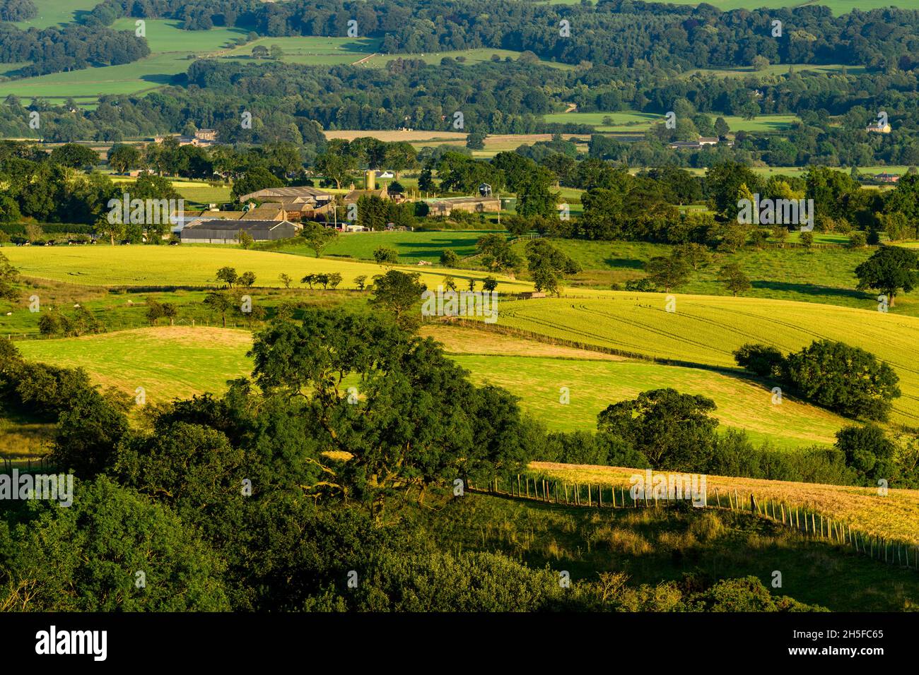 Scenic sunny countryside view of Wharfedale (wide green valley, hillside slope, farm buildings, sunlit farmland fields) - North Yorkshire, England UK. Stock Photo