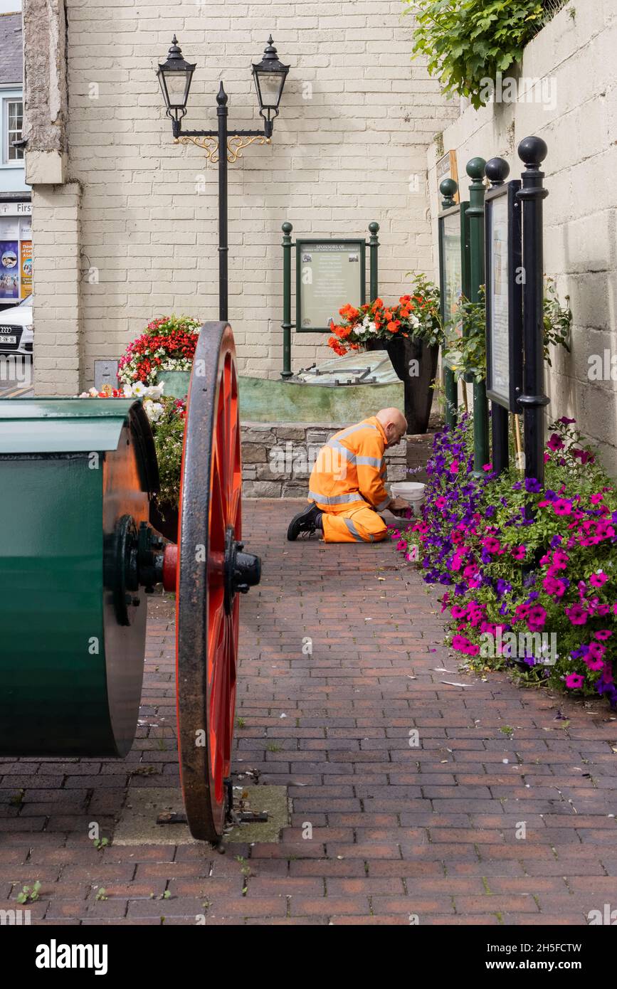 Gardner in hi viz  flourescent orange uniform tends to a floral display in the streets of Kinsale, County Cork, Ireland Stock Photo