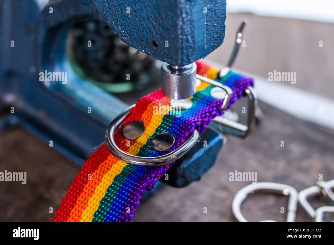 Closeup shot of a colorful pet collar being fixed in a workshop Stock Photo