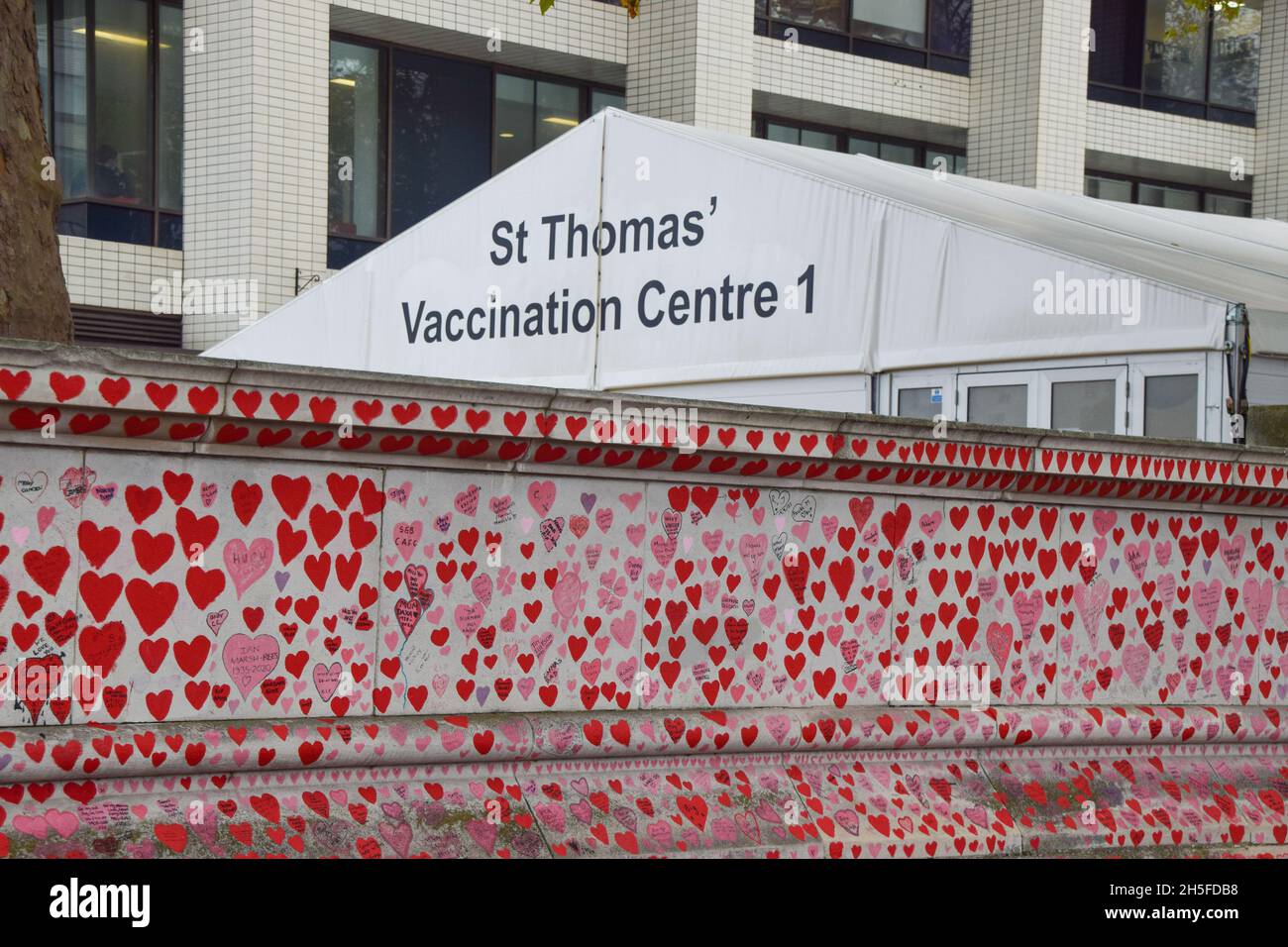 London, UK. 9th November 2021. The National Covid Memorial Wall and vaccination centre outside St Thomas' Hospital. Over 150,000 red hearts have been painted by volunteers and members of the public, one for each life lost to Covid in the UK to date. Credit: Vuk Valcic / Alamy Live News Stock Photo
