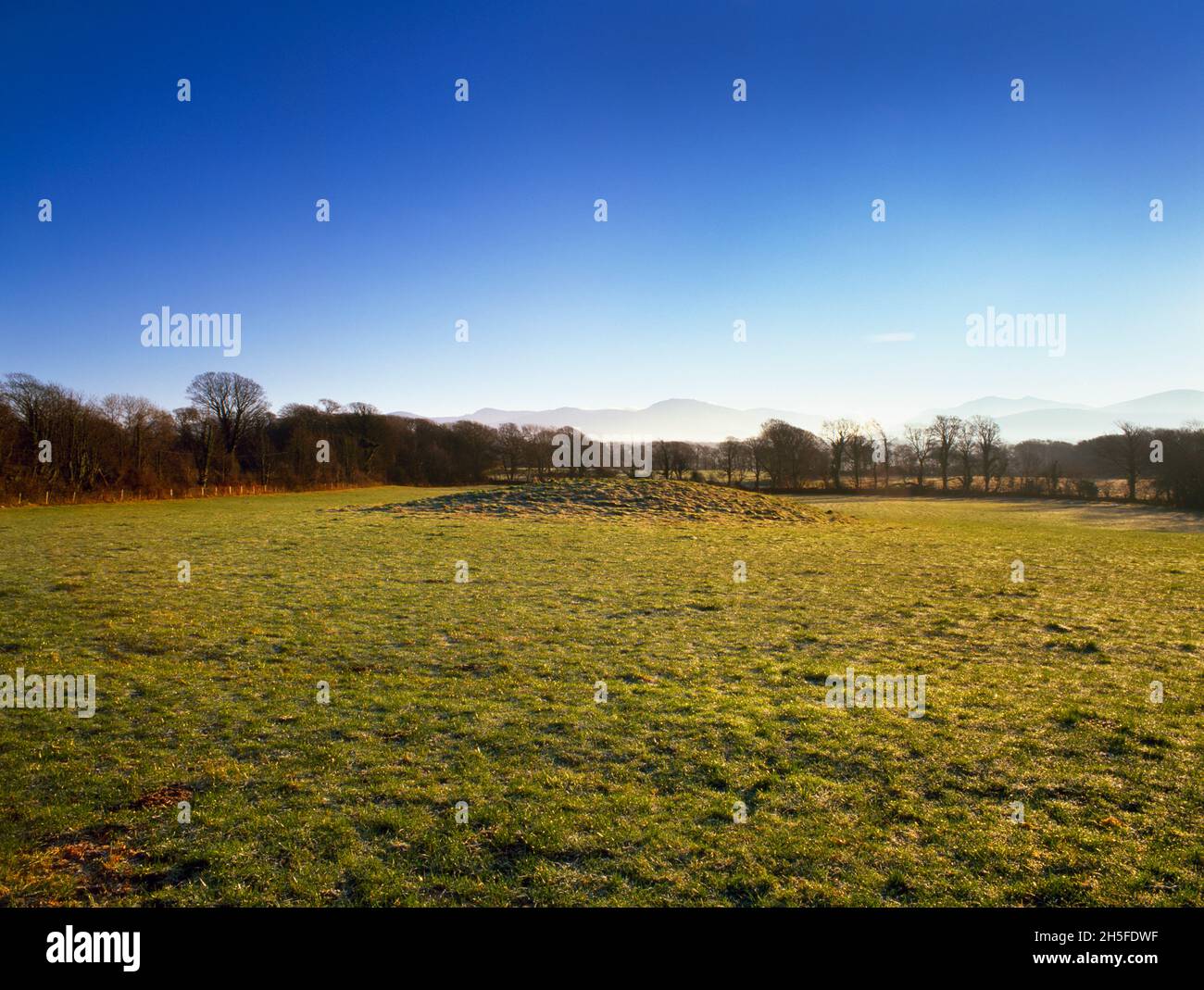 View ESE of a Late Neolithic or Bronze Age round barrow E of Carn (Garn) farmhouse & ESE of Brynsiencyn, Anglesey, Wales, UK. An oval mound 30m N-S. Stock Photo