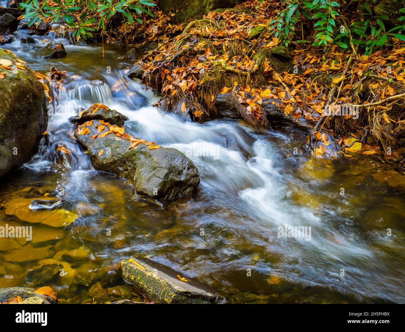 Small cascades on Mud Creek along the Mud Creek Trail in  in Sky Valley in Rabun County Georgia  USA Stock Photo