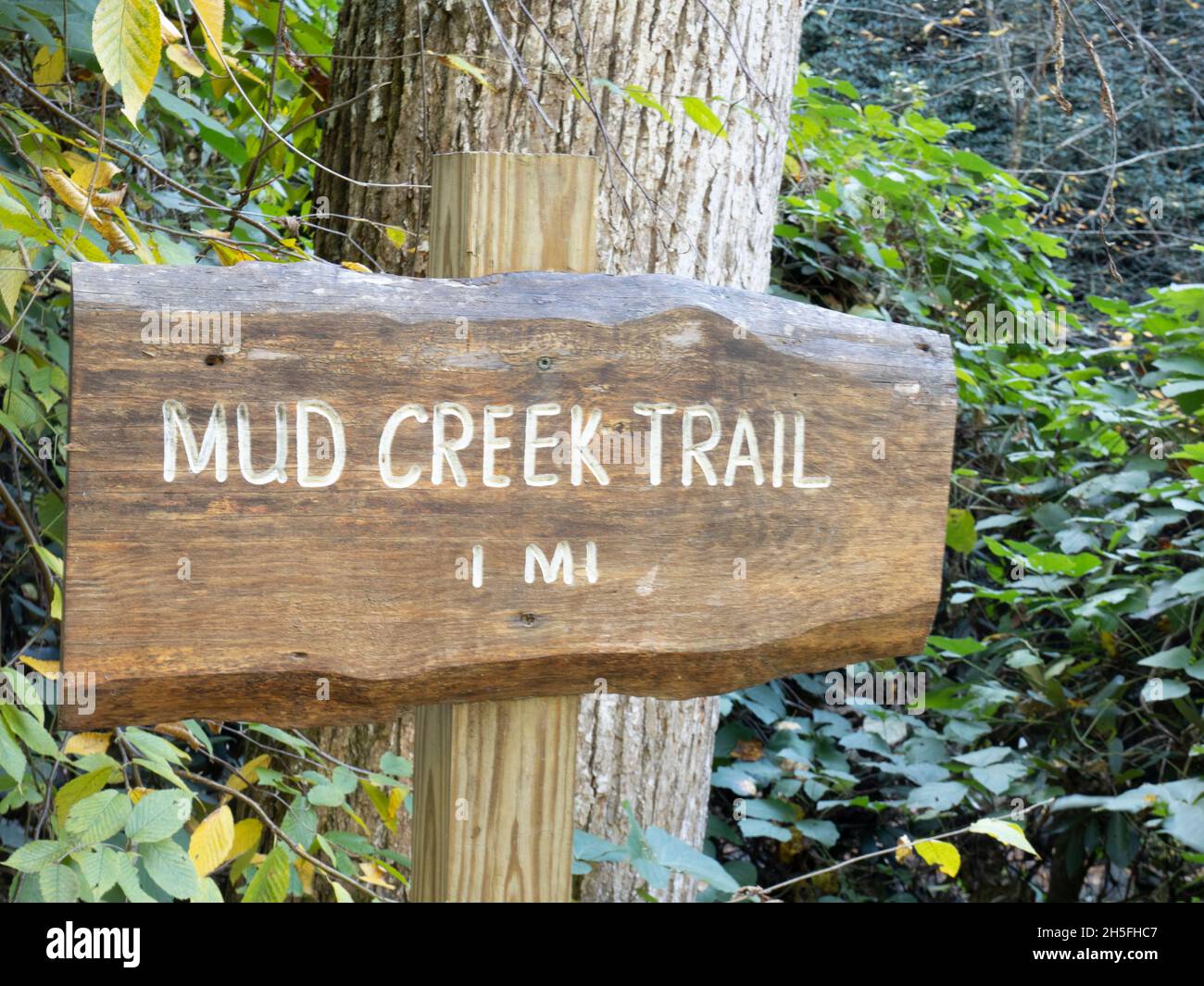 Mud Creek Trail sign in Sky Valley in Rabun County Georgia  USA Stock Photo