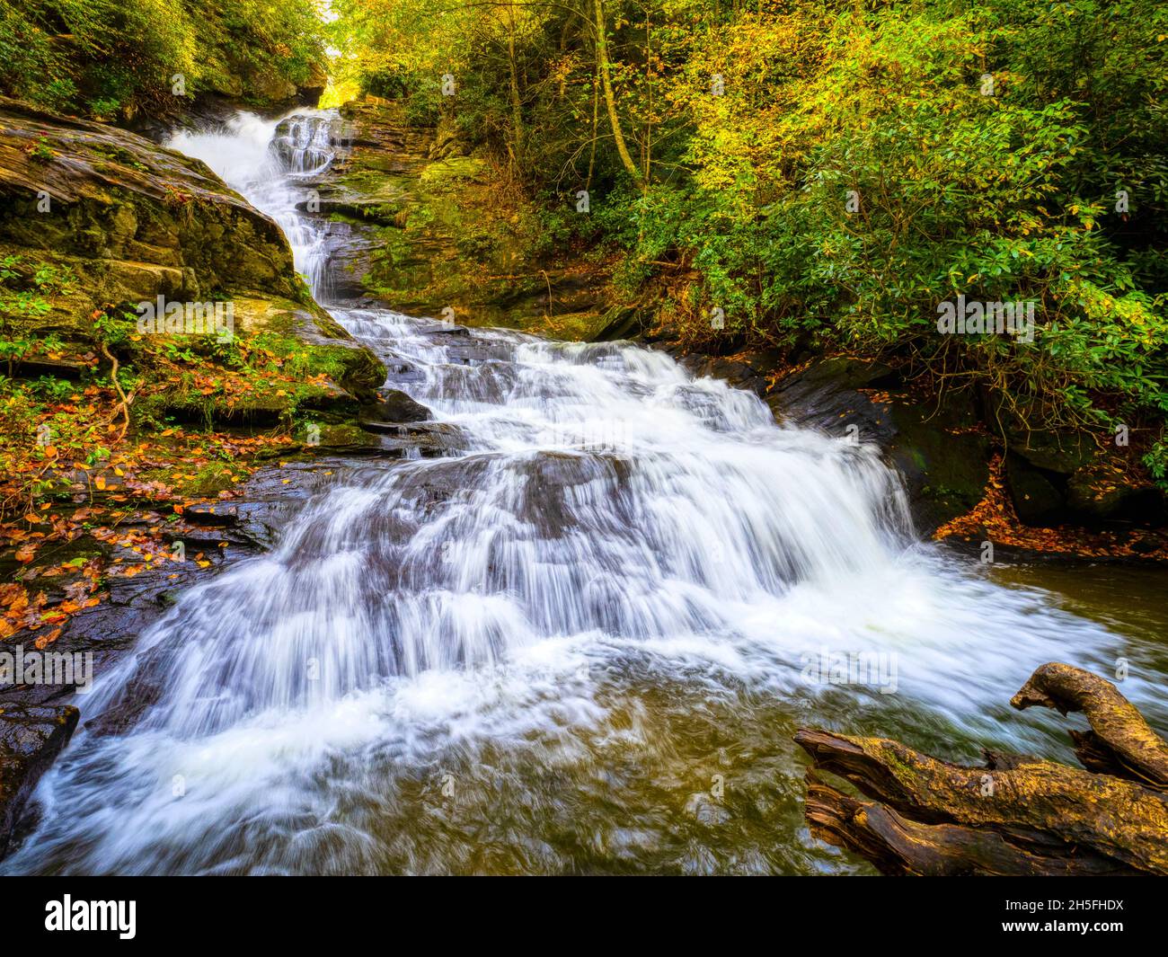 Fall color around Mud Creek Falls in Sky Valley in Rabun County Georgia  USA Stock Photo