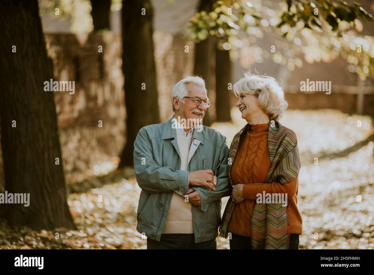 Handsome senior couple walking in autumn park Stock Photo - Alamy