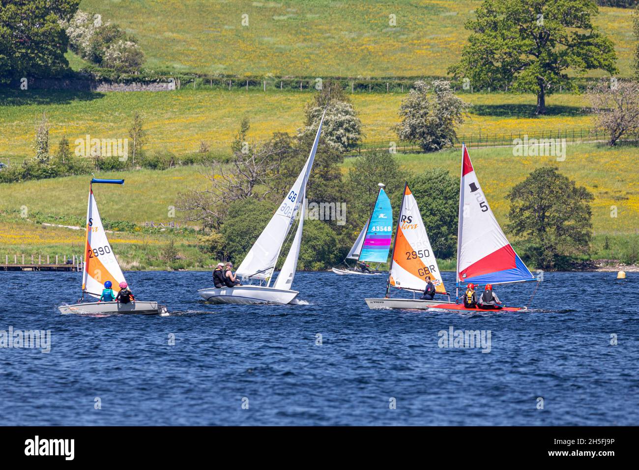Dinghy sailors enjoying a good breeze on Ullswater in the English Lake District, Cumbria UK Stock Photo